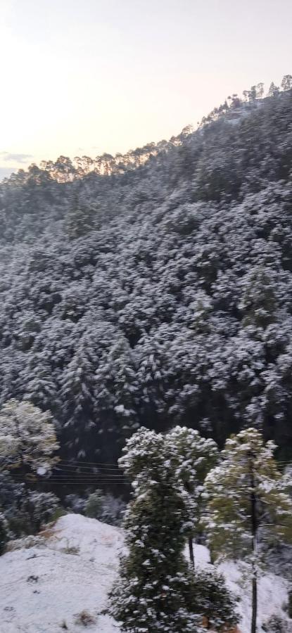 Solitude Inn Bnb Shimla Exterior foto